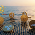 From Volatility to Victory: Sunny Mining Users Turn Market Swings Into Profit